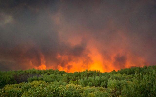 Gansbaai Verwoestende brand woed 2